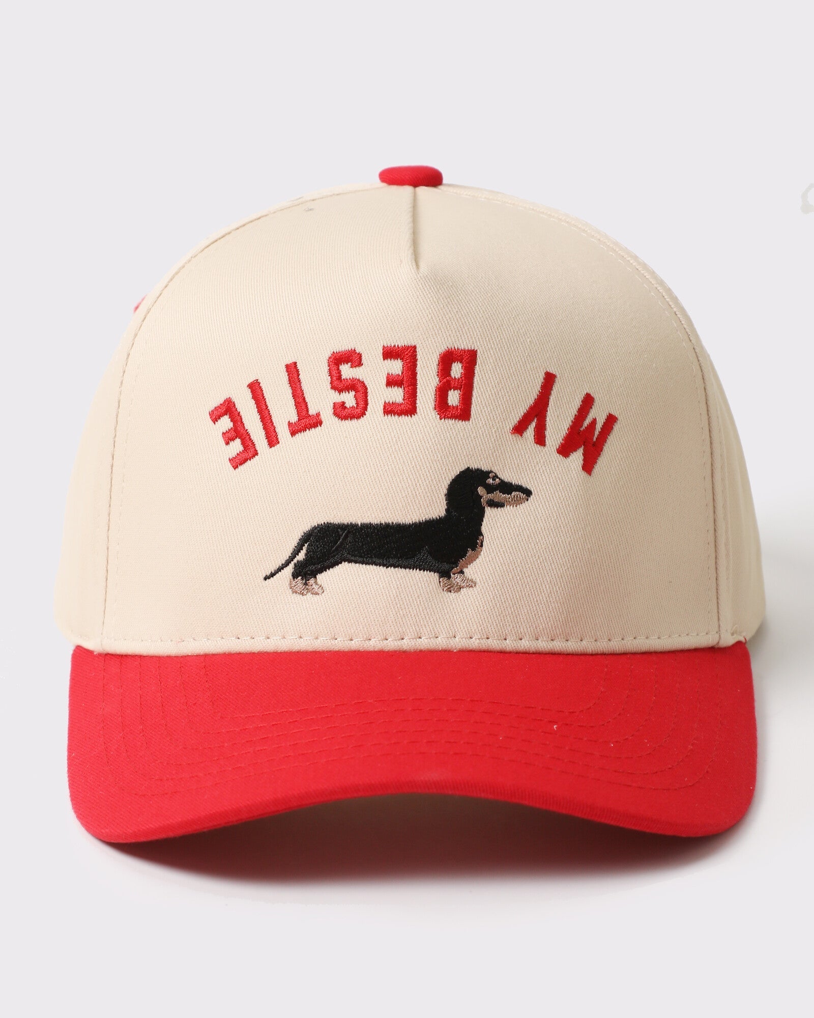 Best hats for dog lovers gift guide - Monster Artwork