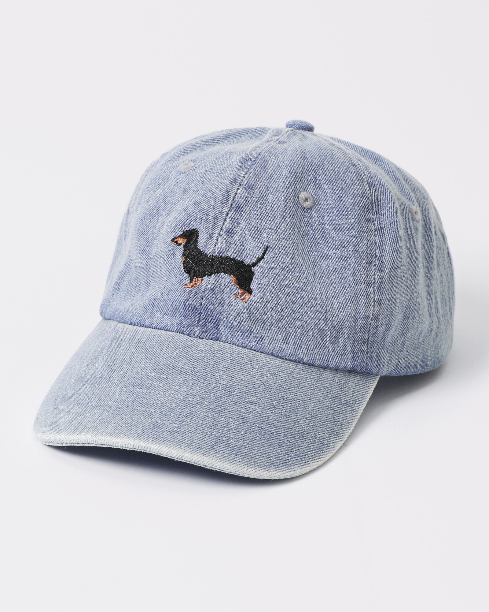Dachshund main