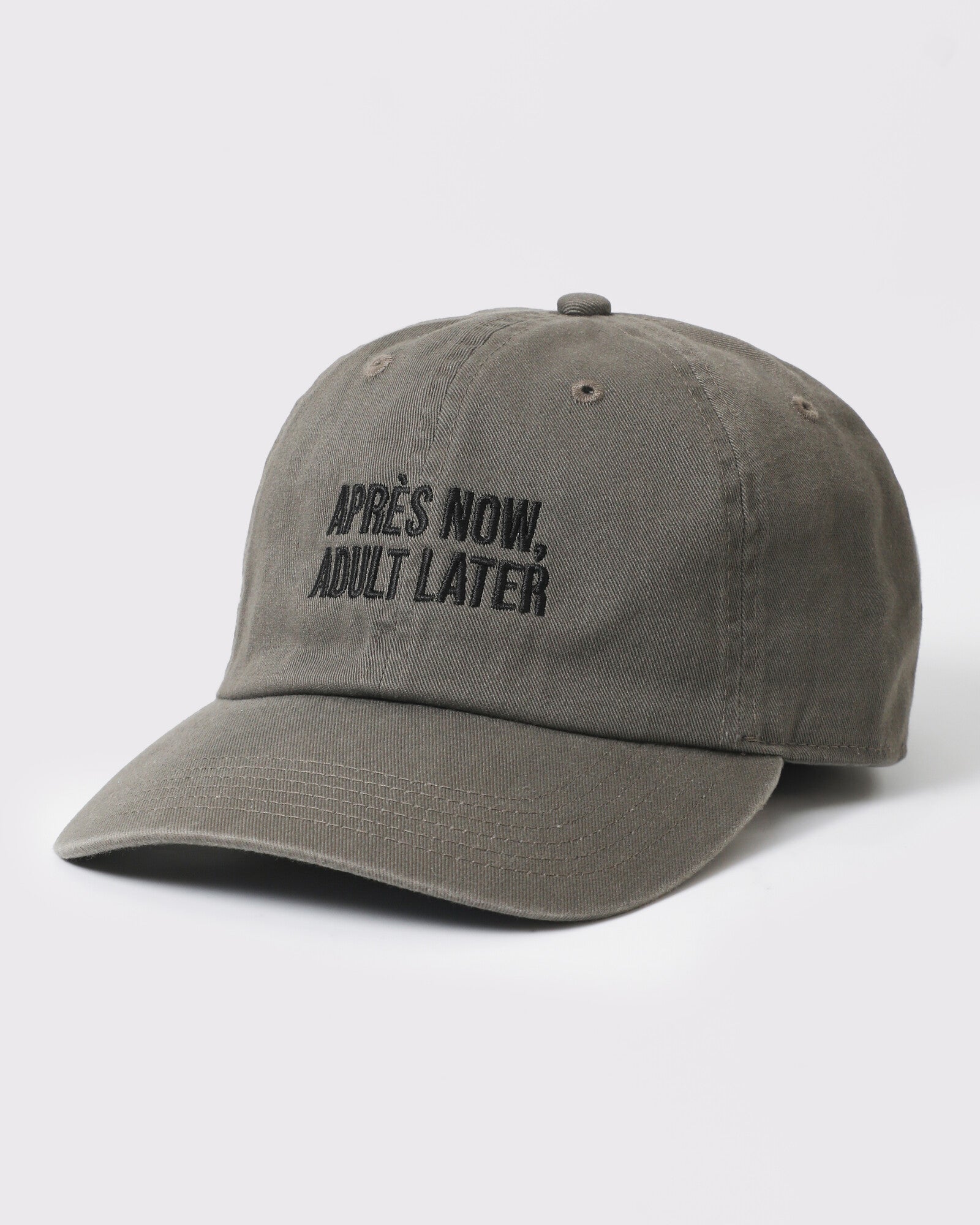 Apres Now Adult Later dad hat Charcoal