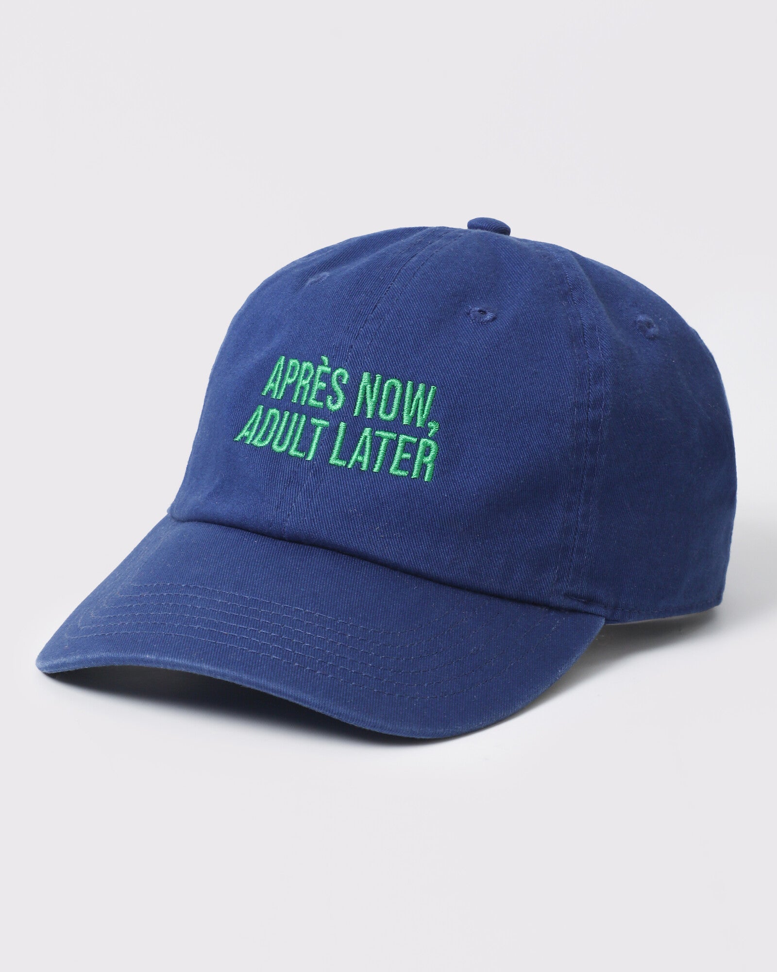 Apres Now Adult Later dad hat Royal