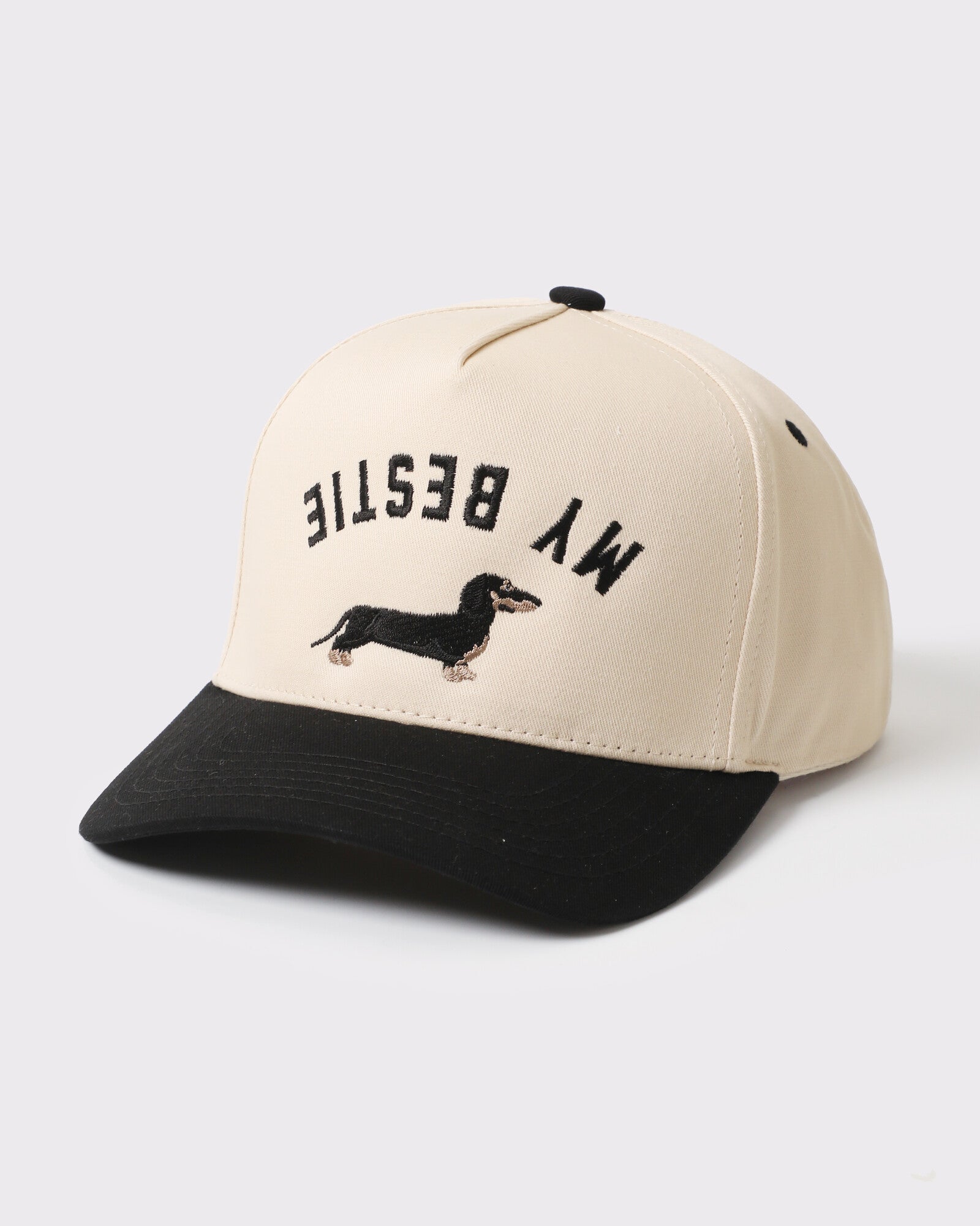 My Bestie Dachshund trucker Black