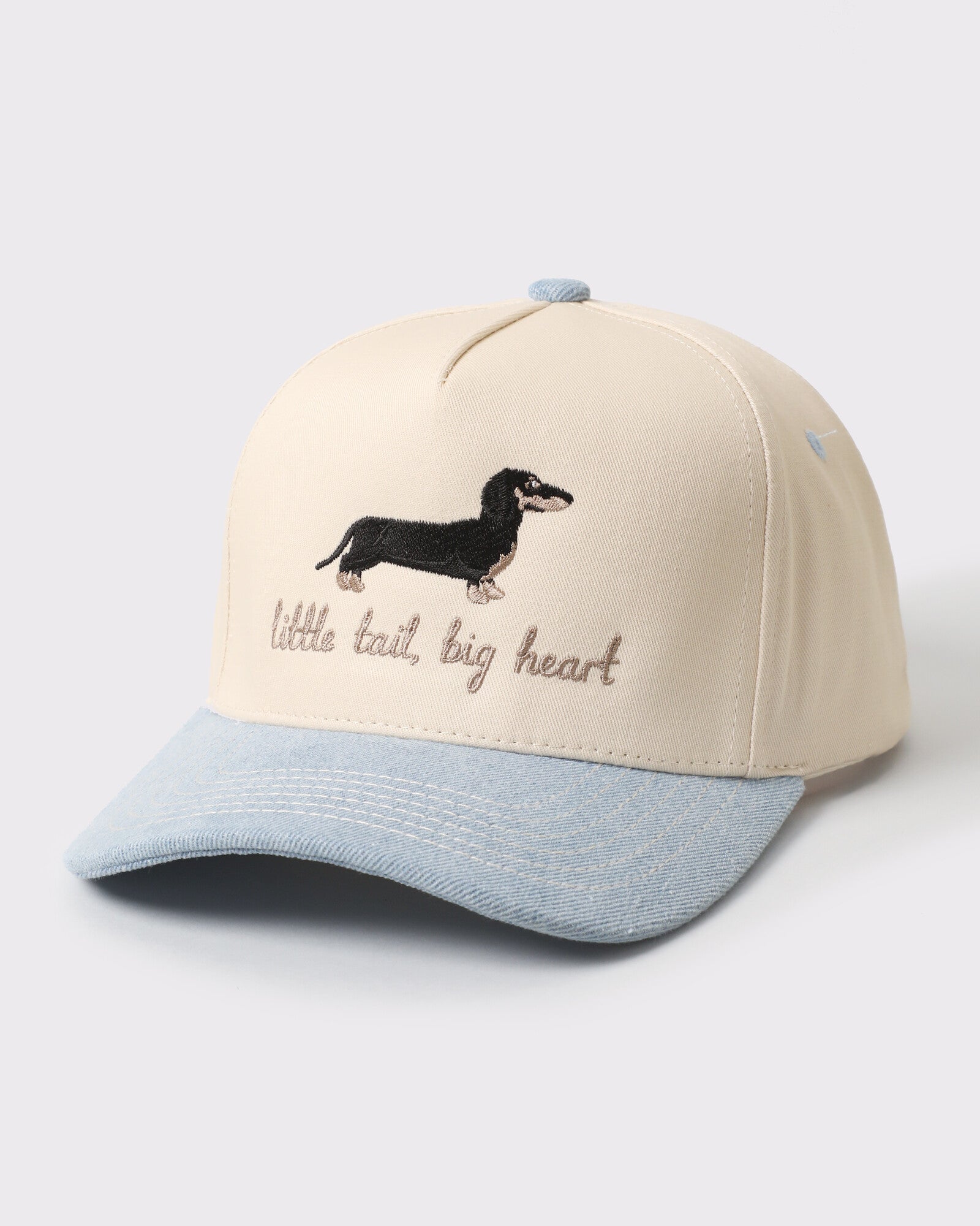 Little Tail Big Heart Dachshund Two-Tone Trucker Hat - Monster Artwork