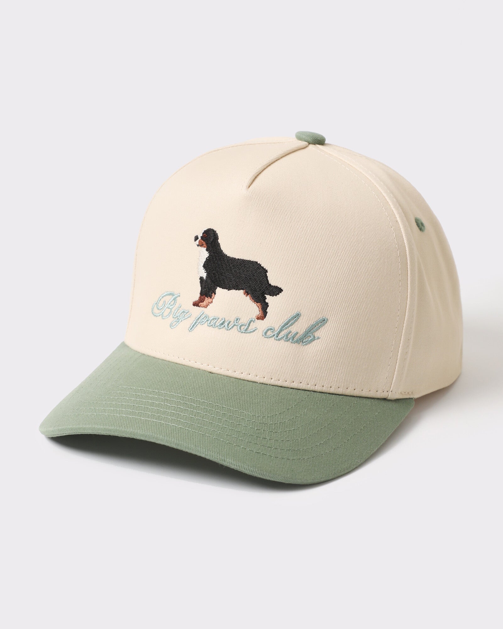 Big Paws Club Bernese trucker Sage