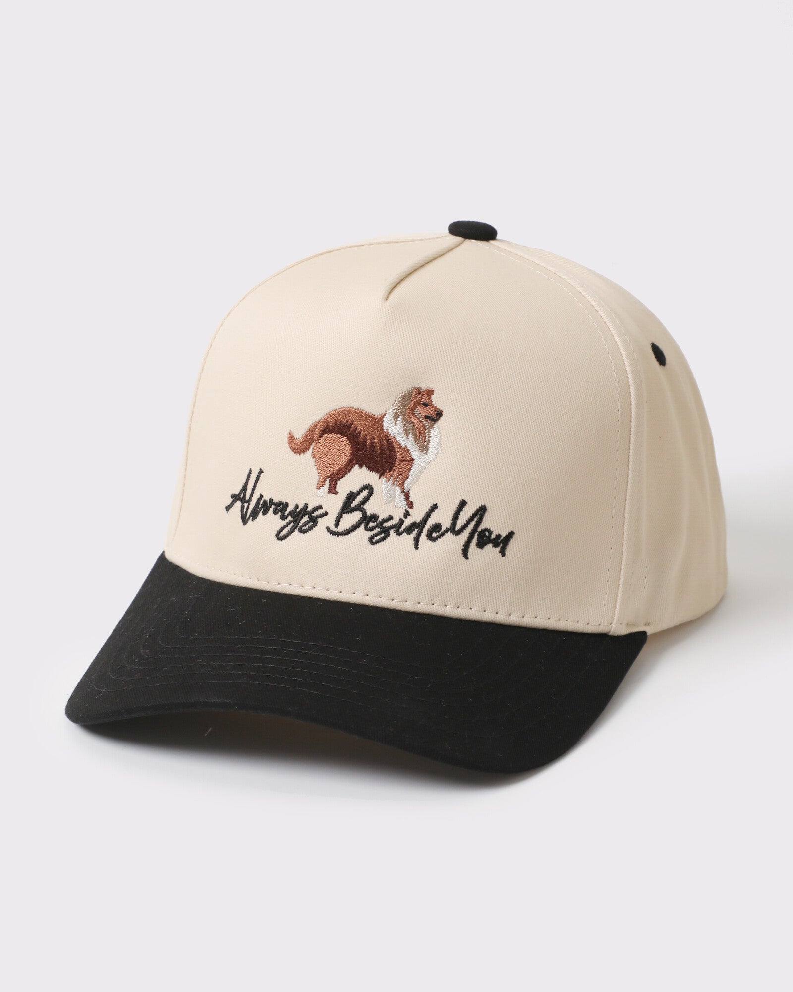 Always Beside You Collie trucker Black