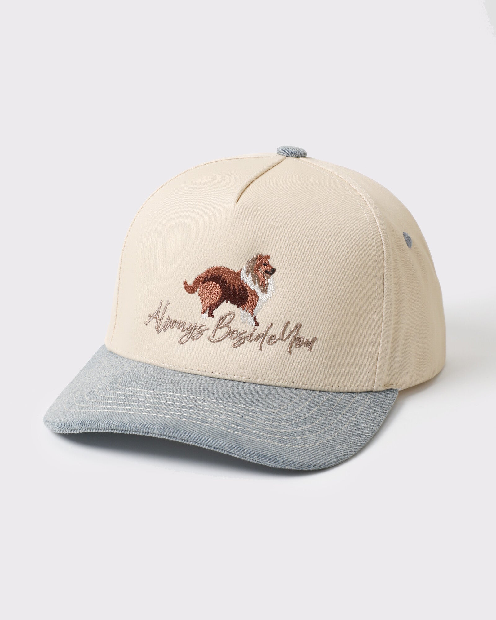 Always Beside You Collie trucker Denim
