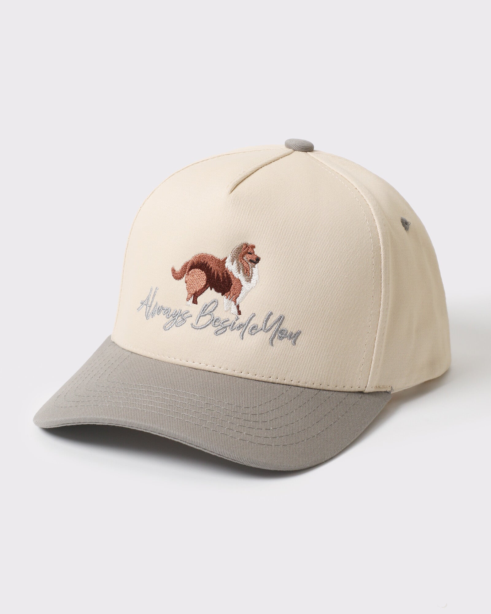 Always Beside You Collie trucker Grey