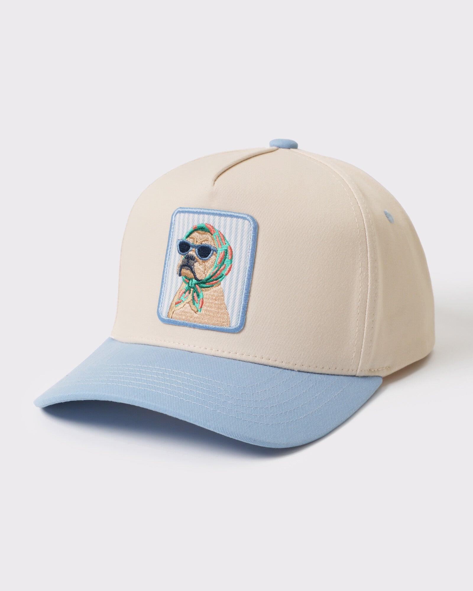 Cool Dog patch trucker Sky Blue