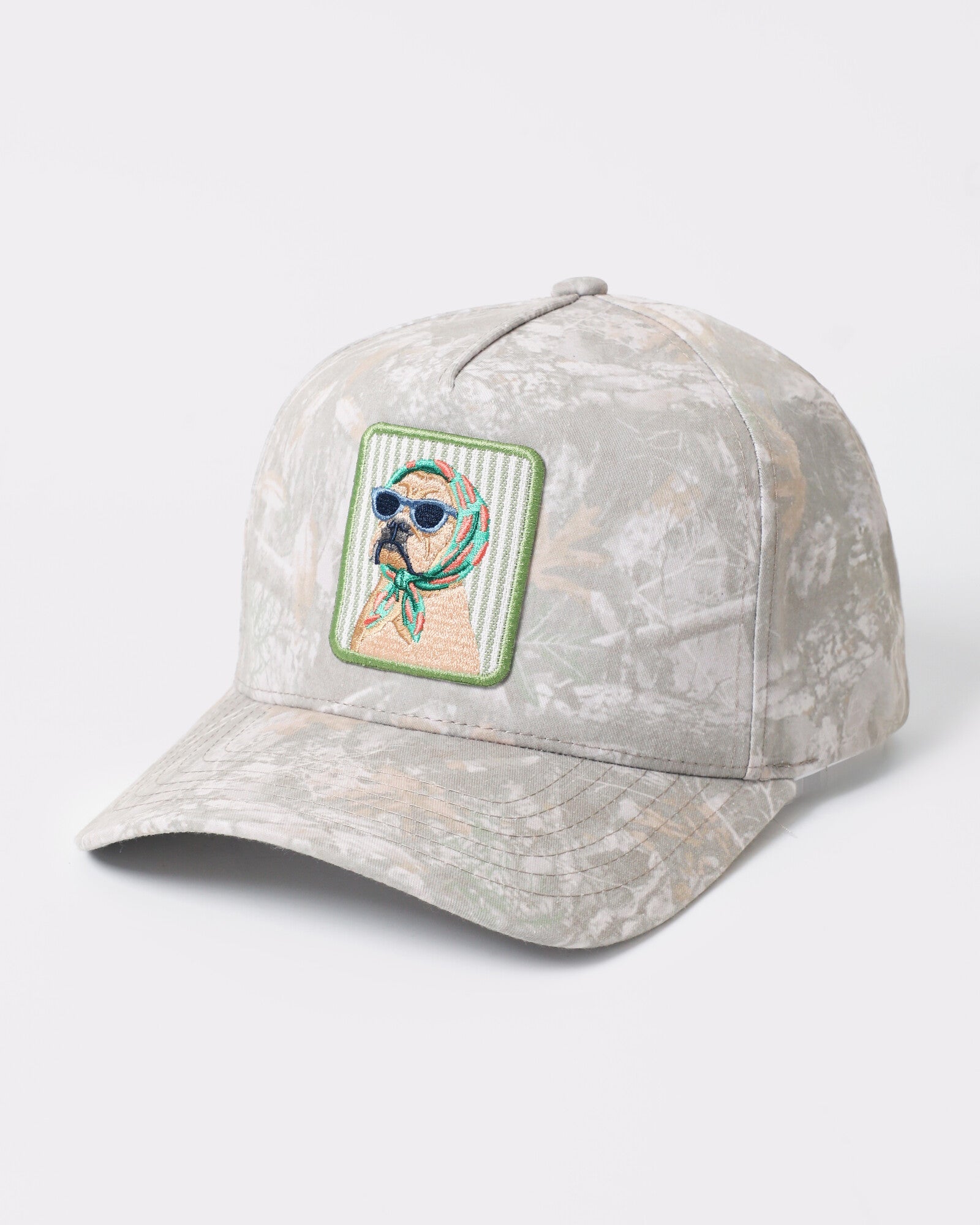 Cool Dog patch tie-dye trucker Light Camo